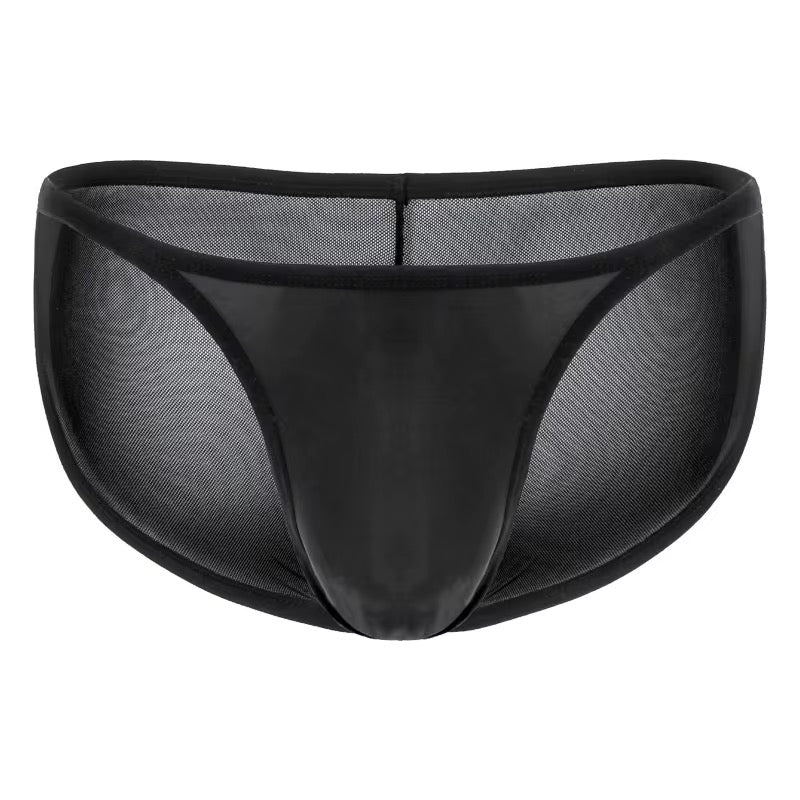 Sheer Micro Mesh Bikini Briefs