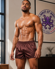 Load image into Gallery viewer, Satin Lounge Shorts