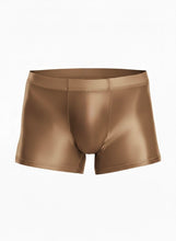 Load image into Gallery viewer, Glossy Boxer Briefs