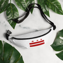 Load image into Gallery viewer, DC Flag Logo Fanny Pack